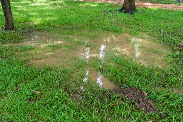 Cost of Storm Water Drainage Service in Zionsville