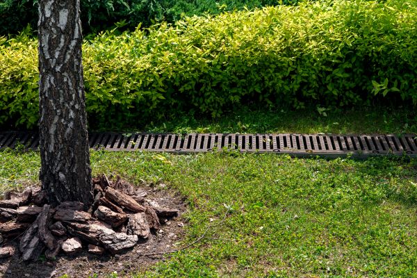 Cost of Yard Water Redirection in Zionsville
