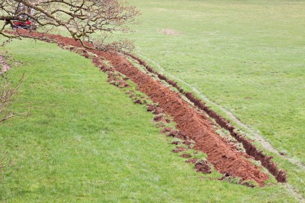 Cost of Swale Installation in Zionsville