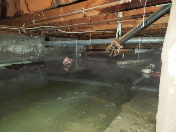 Cost of Crawlspace Drainage in Zionsville